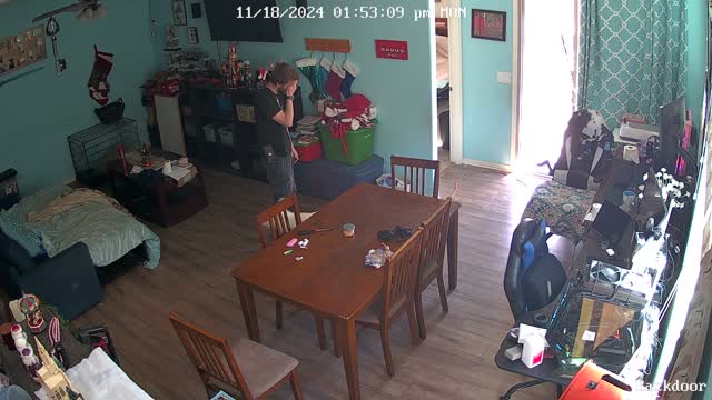 Dog runs into screen door